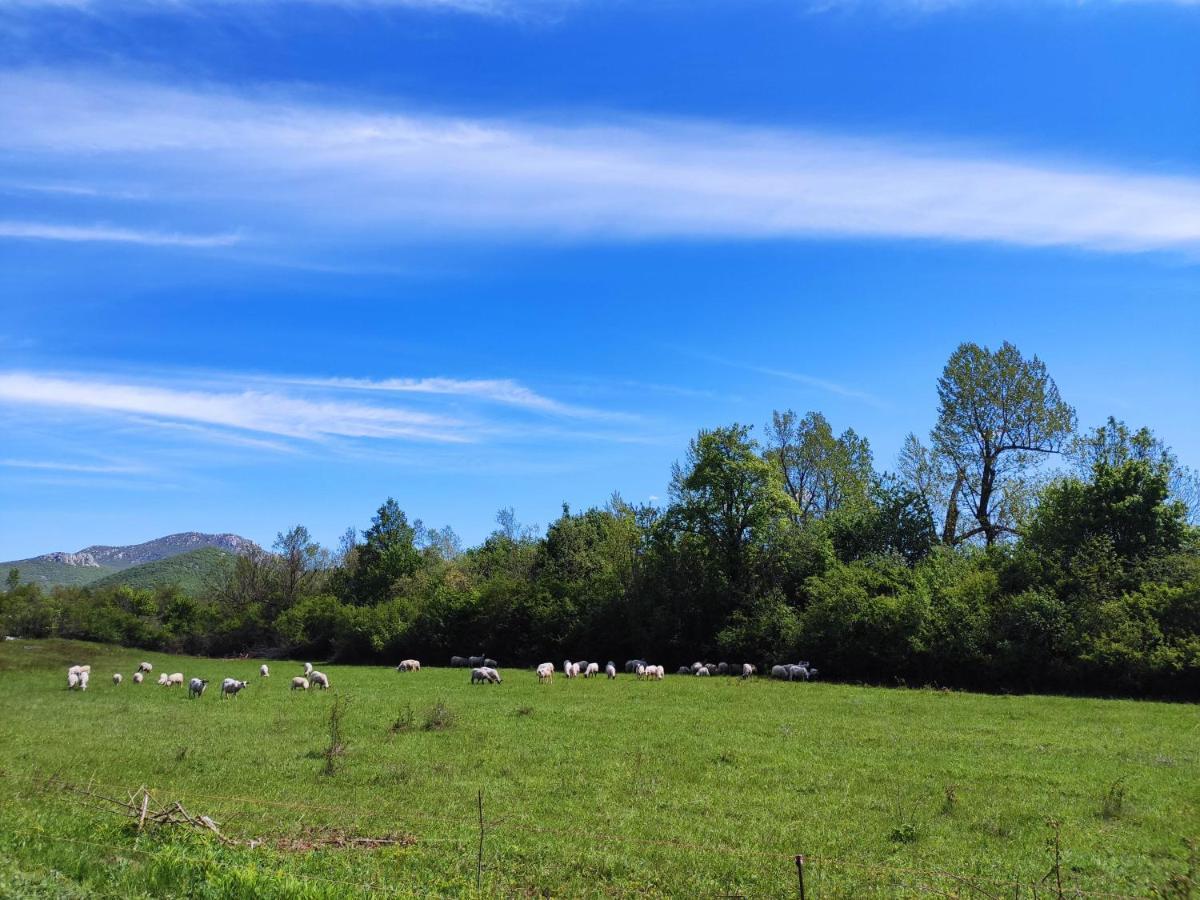 Lovinac  Velebit Lodge מראה חיצוני תמונה