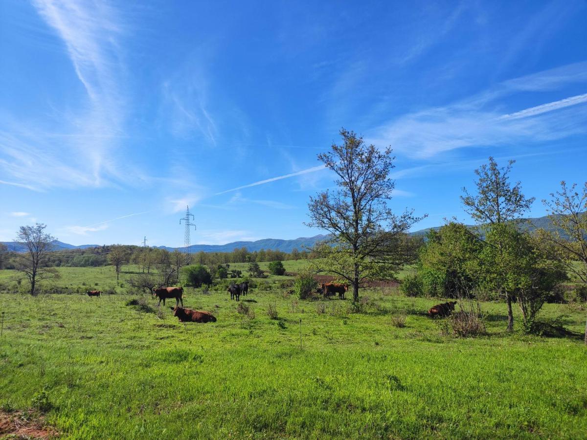 Lovinac  Velebit Lodge מראה חיצוני תמונה