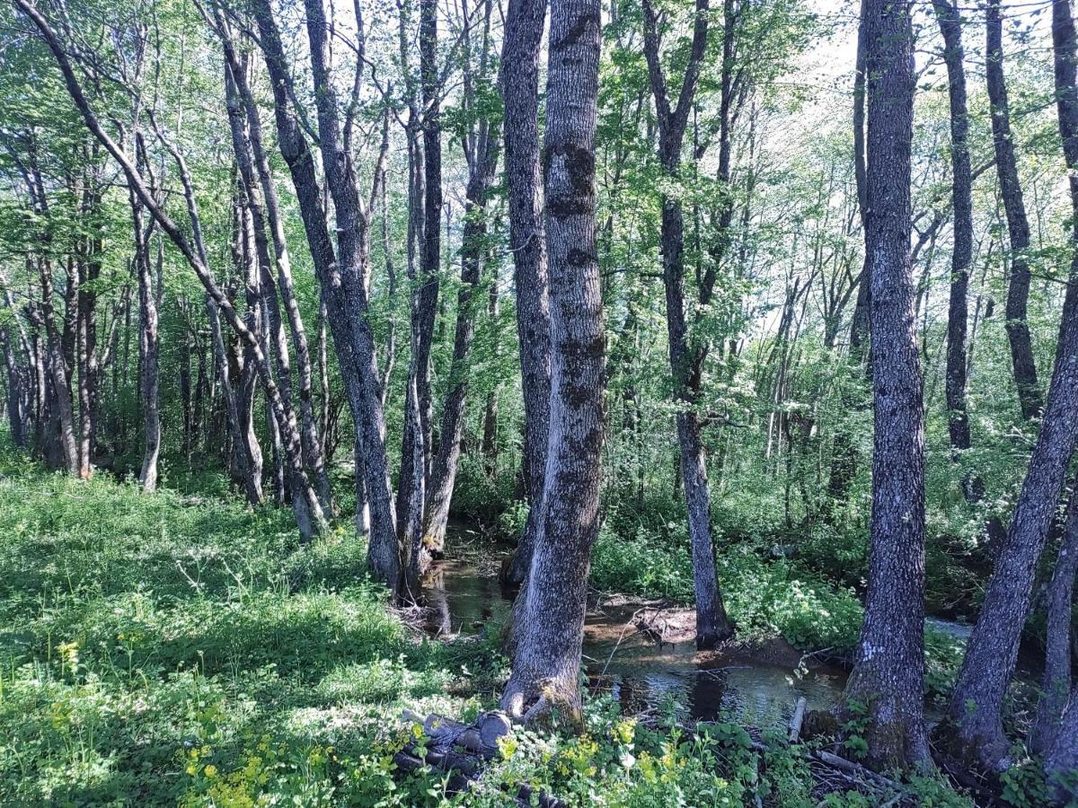Lovinac  Velebit Lodge מראה חיצוני תמונה